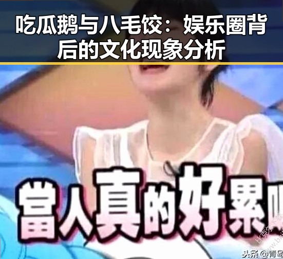 吃瓜鹅与八毛饺：娱乐圈背后的文化现象分析