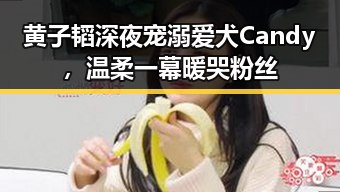 911爆料网
