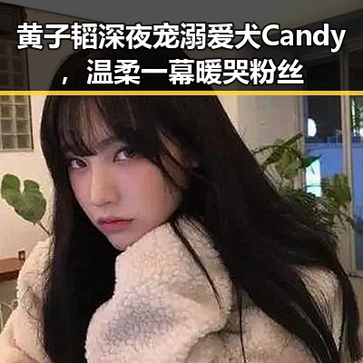 黄子韬深夜宠溺爱犬Candy，温柔一幕暖哭粉丝