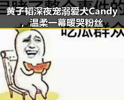 黄子韬深夜宠溺爱犬Candy，温柔一幕暖哭粉丝