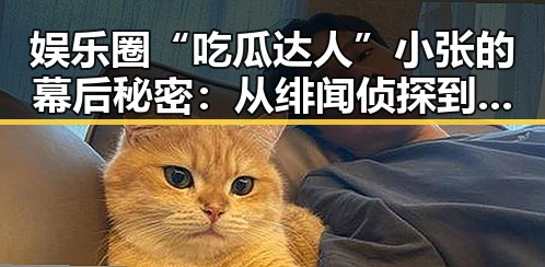 娱乐圈“吃瓜达人”小张的幕后秘密：从绯闻侦探到品鉴大师的蜕变